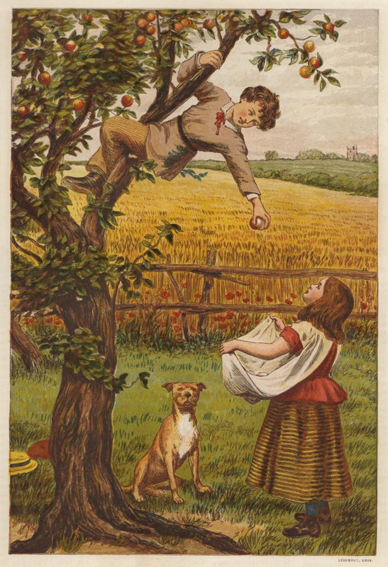 Omenoiden poiminta (väri litho) tekijältä Henry Robert Robertson