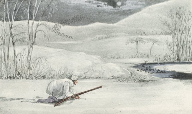 Myttonin villien ankkojen ammunta (litografia) tekijältä Henry Thomas (after) Alken