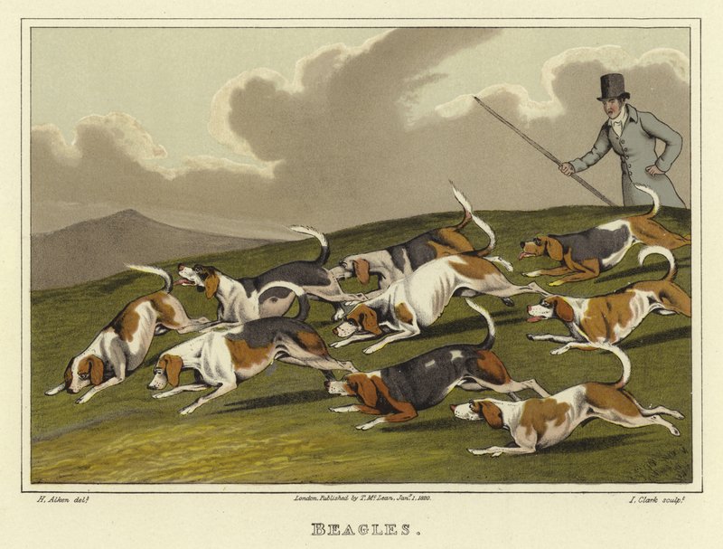 Beaglet (chromolitho) tekijältä Henry Thomas Alken