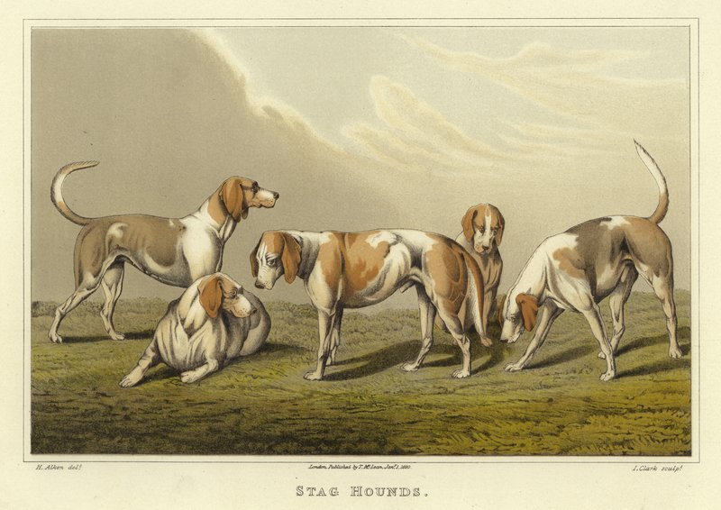 Stag Hounds (chromolitho) tekijältä Henry Thomas Alken