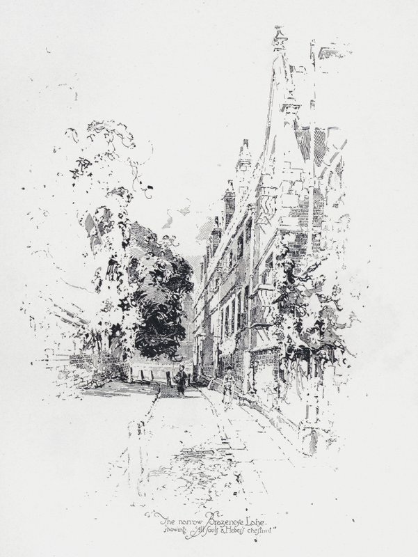 Kapea Brasenose Lane Oxfordissa, jossa näkyy All Souls