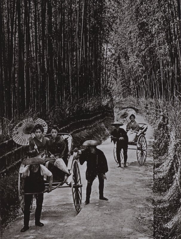 Bamboo Avenue Kiotossa (m/w kuva) tekijältä Herbert Ponting