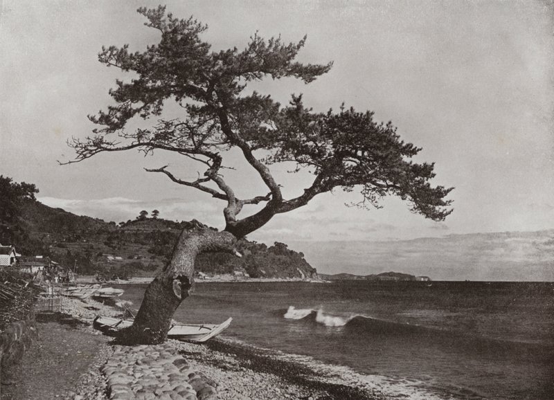 Atami (m/w kuva) tekijältä Herbert Ponting
