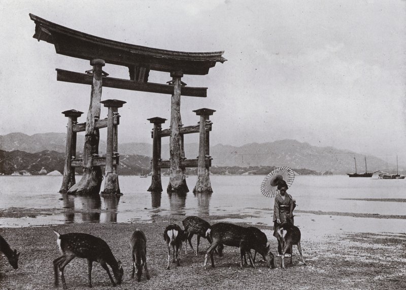 The Old Torii at Miyajima (m/w kuva) tekijältä Herbert Ponting