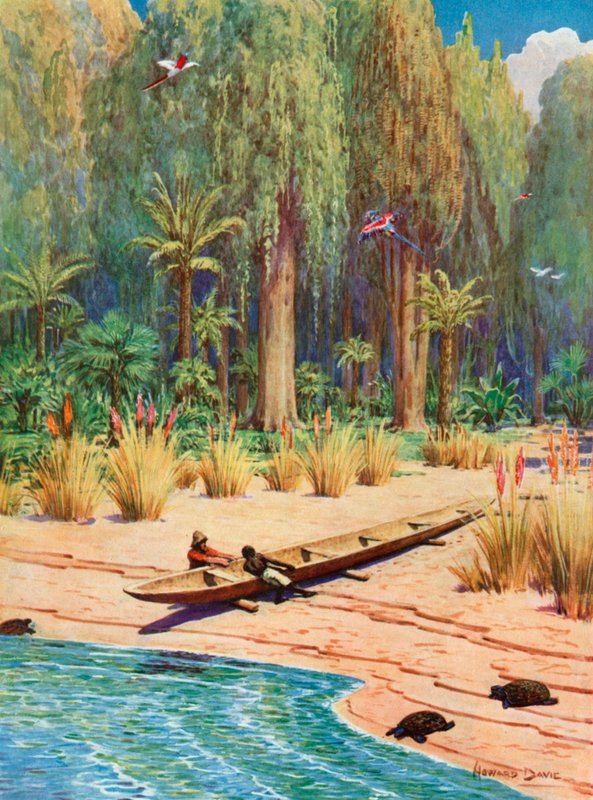 Kuvitus Robinson Crusoelle tekijältä Howard Davie