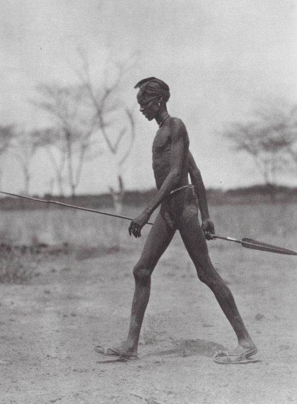 Afrikka: Dinka-soturi keihään kanssa (s/w-kuva). tekijältä Hugo Adolf Bernatzik