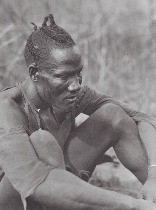 Afrikka: Djur (s/w-kuva) tekijältä Hugo Adolf Bernatzik