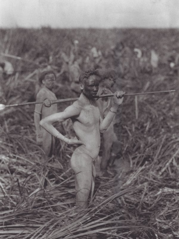 Afrikka: Nuer-soturit suolla (s/w-kuva). tekijältä Hugo Adolf Bernatzik