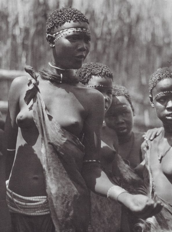 Afrikka: Afrikka: Shilluk-tytöt (s/w-kuva) tekijältä Hugo Adolf Bernatzik