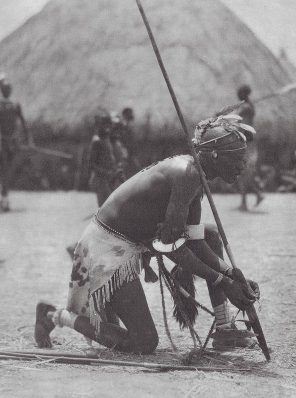 Afrikka: Shilluk juhla-asussa (s/w-kuva). tekijältä Hugo Adolf Bernatzik