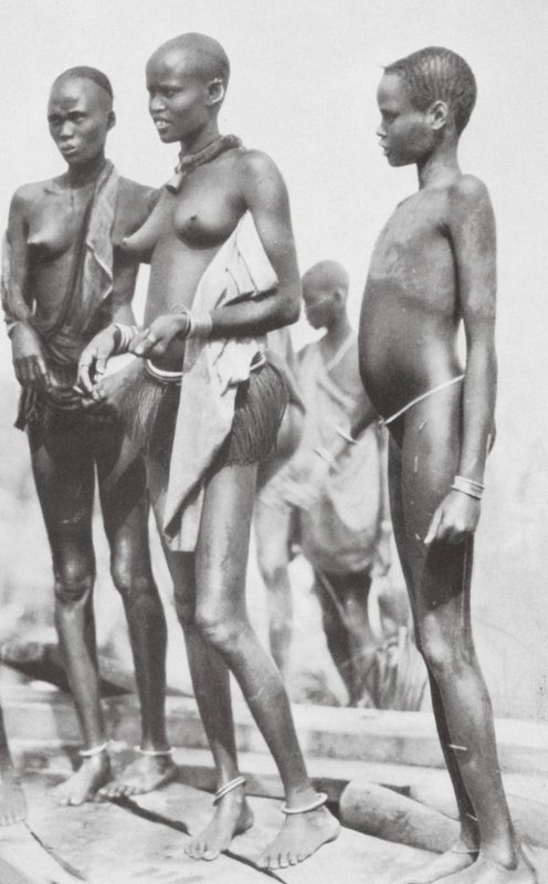 Sudanin neekerityttö (s/w valokuva) tekijältä Hugo Adolf Bernatzik
