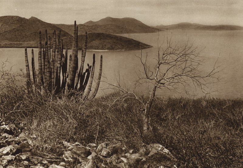 Meksiko: Baja Californian rannikon lähellä (s/w-kuva). tekijältä Hugo Brehme