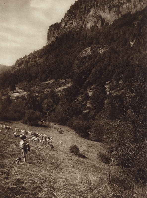 Meksiko: La Canada, Contreras, D F (s/w-kuva). tekijältä Hugo Brehme