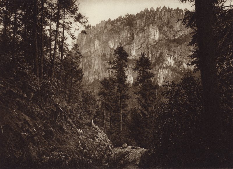 Meksiko: La Canada, Contreras, D F (s/w-kuva). tekijältä Hugo Brehme