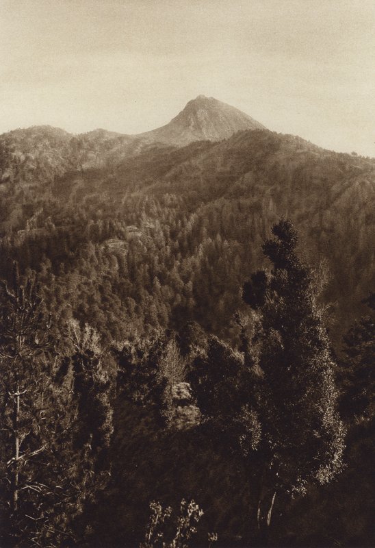 Meksiko: Nevado de Colima, osittainen näkymä (s/w valokuva) tekijältä Hugo Brehme