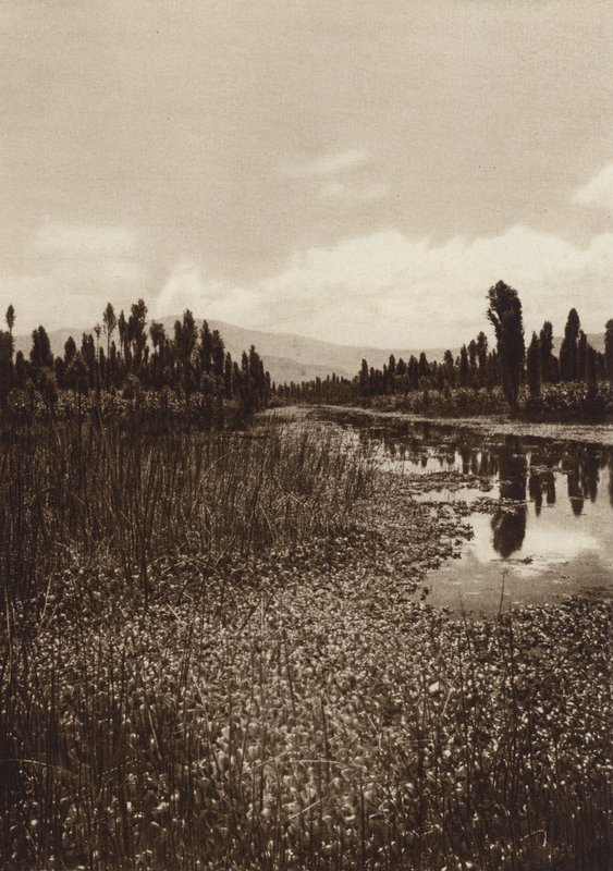 Meksiko: Xochimilco, yksi pääkanavista (s/w-kuva) tekijältä Hugo Brehme