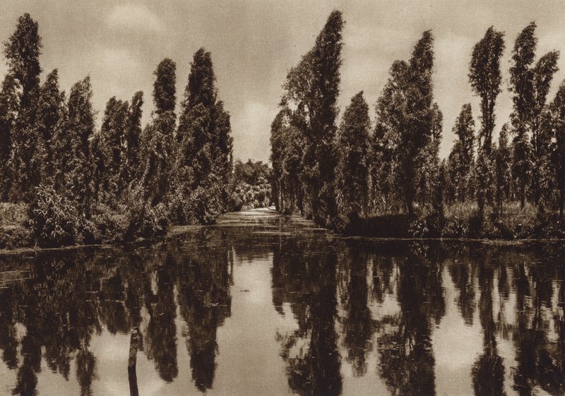 Meksiko: Xochimilco ja niin sanotut "kelluvat puutarhat" (s/w-kuva). tekijältä Hugo Brehme