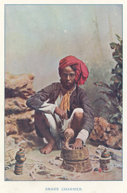 Intiaanit: Snake Charmer (värillinen kuva) tekijältä Indian photographer