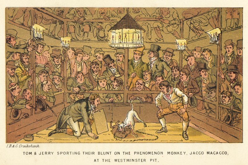 Tom ja Jerry urheilevat ilmiömäistä apinaa Jacco Macaccoa Westminster Pitissä tekijältä Isaac, Robert and George Cruikshank