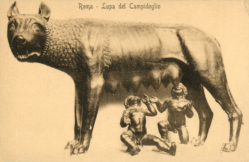 Rooma, Campidoglion susi tekijältä Italian Photographer