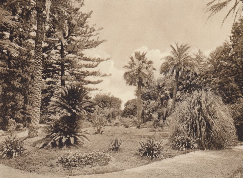 Sisilia / Sisilia: Villa Tasca, Palermo (s/w-kuva) tekijältä Italian Photographer