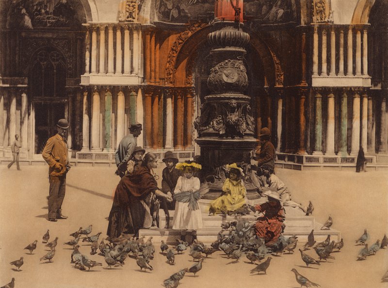 Venetsia / Venice: Piccioni (värillinen kuva) tekijältä Italian Photographer