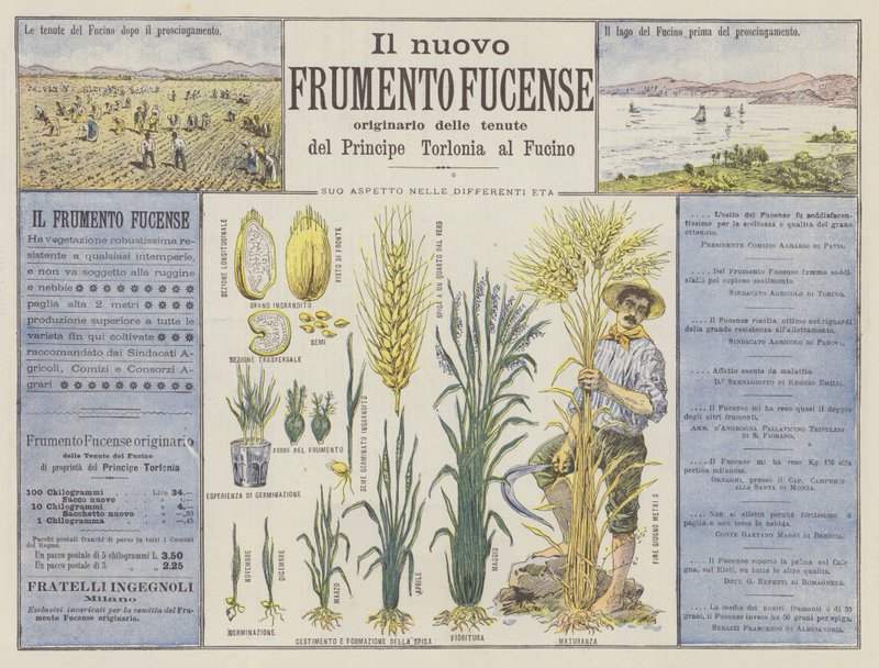 Uusi Fucense vehnä (väri litho) tekijältä Italian School