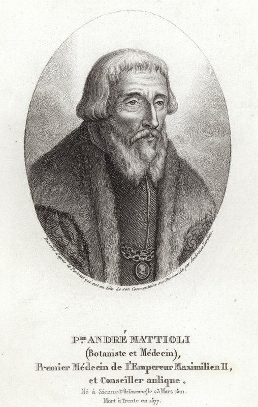 Pietro Andrea Mattioli tekijältä Italian School