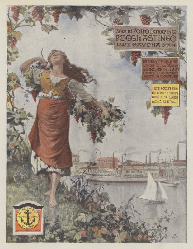 Poggi  Astengo (väriliitos) tekijältä Italian School