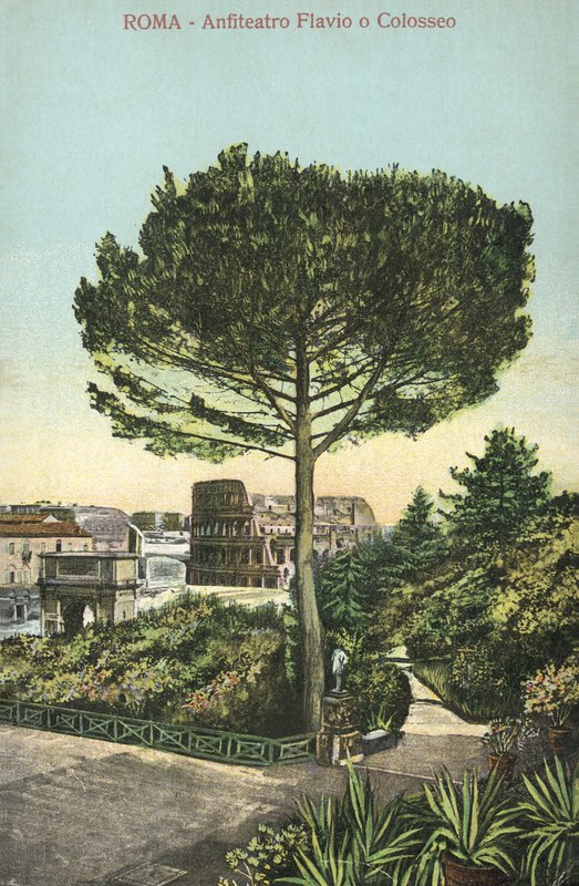 Rooma, Italia, amfiteatteri ja Colosseum (värilitra) tekijältä Italian School