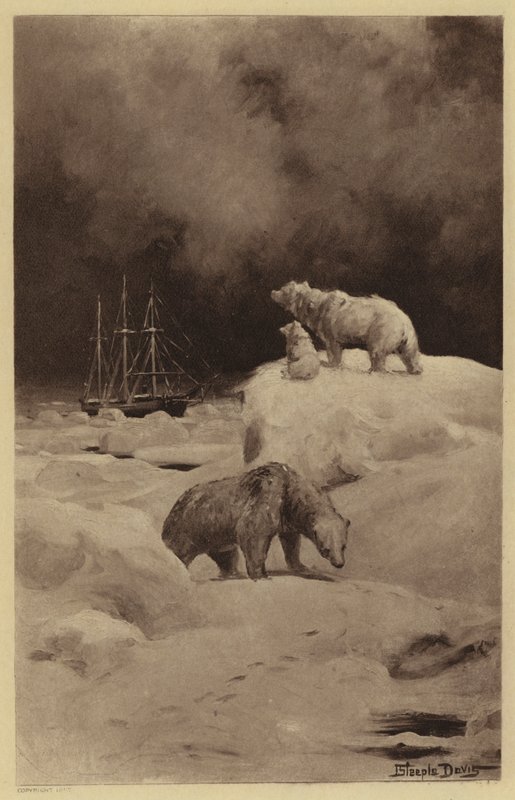 Peary arktisilla alueilla (litho) tekijältä J. (after) Steeple Davis