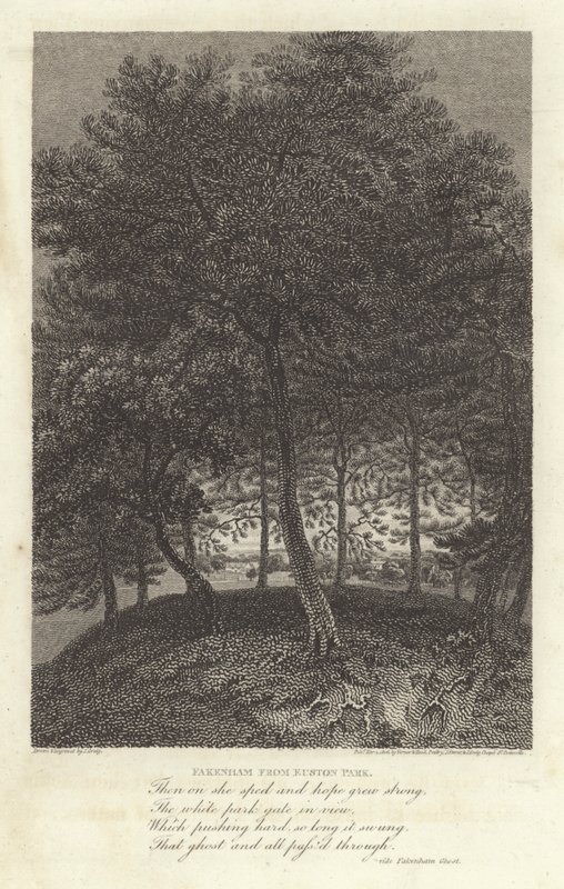 Robert Bloomfield, runoilija: Fakenham Euston Parkista (kaiverrus) tekijältä J. Greig