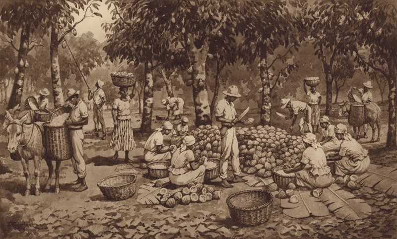 Kaakaopalkojen rikkominen Trinidadissa (litho) tekijältä J. Macfarlane