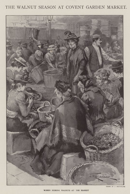 Saksanpähkinäkausi Covent Garden Marketilla Lontoossa (litho) tekijältä J. Macfarlane