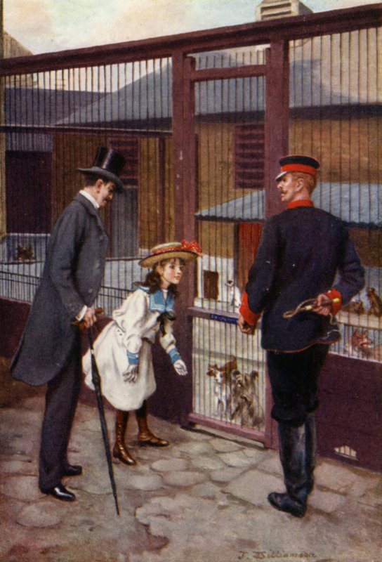 Ethel löytää Scampin (väri litho) tekijältä J. Williamson