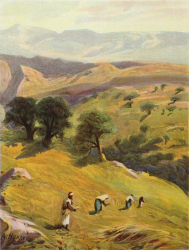 Jerusalemin ja Jerikon välillä (väri litho) tekijältä James (after) Clark