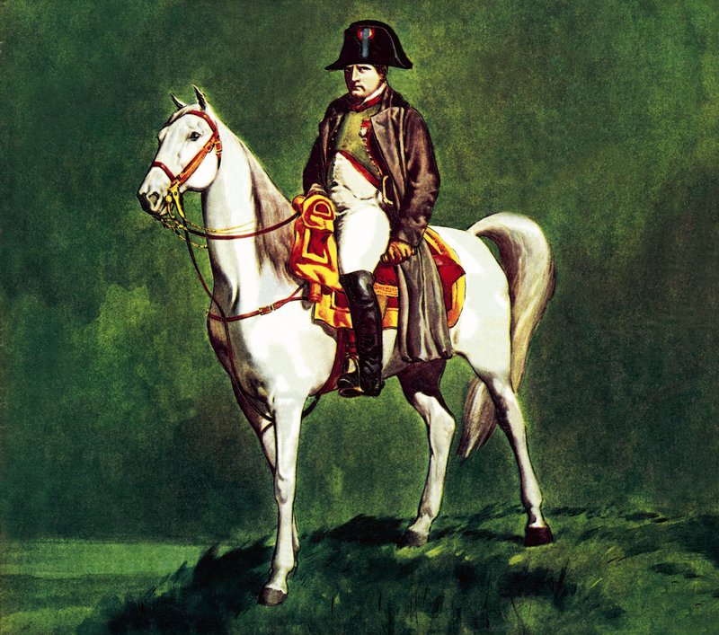 Napoleon suosikkihärvelillään 