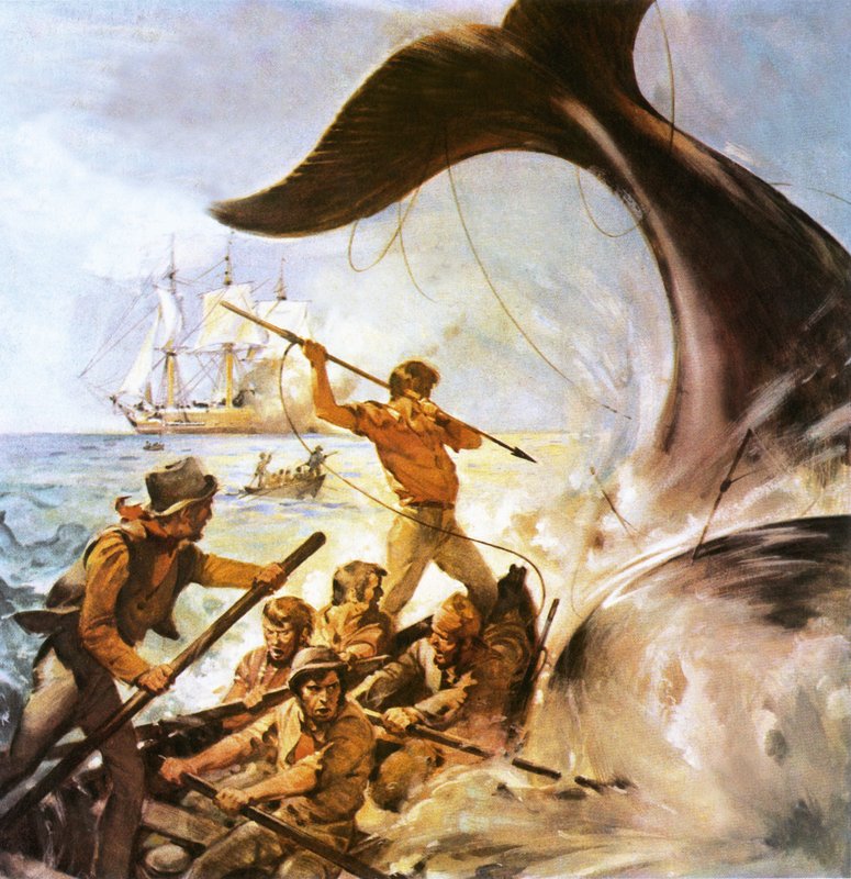Peter the Whaler tekijältä James Edwin McConnell