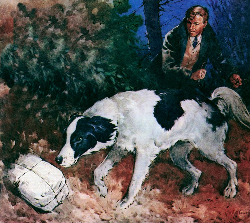 Pickles, MM-kisakoira (värilitografia) tekijältä James Edwin McConnell