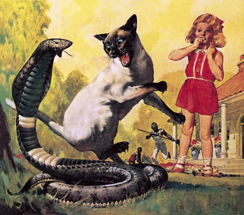 Rohkea kissa tekijältä James Edwin McConnell