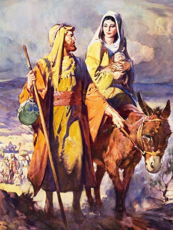 Pako Egyptiin tekijältä James Edwin McConnell