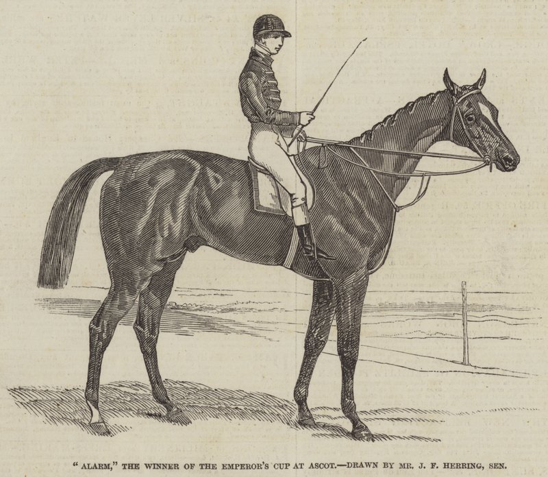 Alarm, Ascotin Emperor