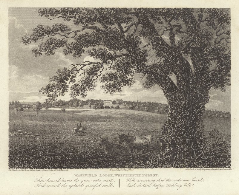 Robert Bloomfield, runoilija: Wakefield Lodge, Whittlebury Forest (kaiverrus) tekijältä James Storer
