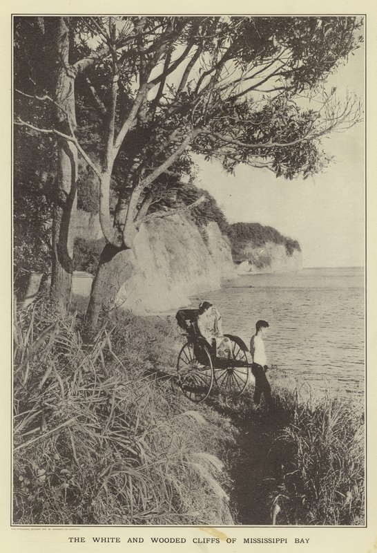Mississippi Bayn valkoiset ja metsäiset kalliot tekijältä Japanese Photographer