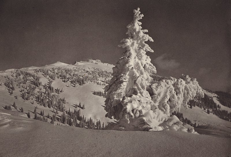 Rigi Kaltbad, Skigelande ja Rigi Kulm (m/v kuva) tekijältä Jean Gaberell
