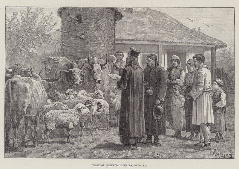 Blessing Domestic Animals, Bulgaria tekijältä Johann Nepomuk Schonberg
