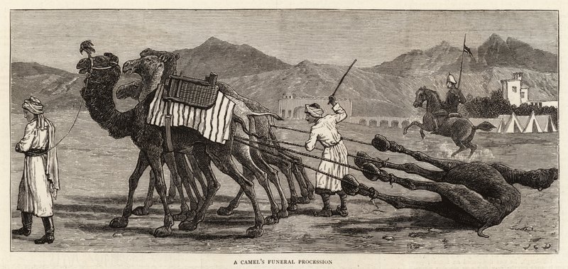 Kamelin hautajaiskulkue tekijältä John Charles Dollman