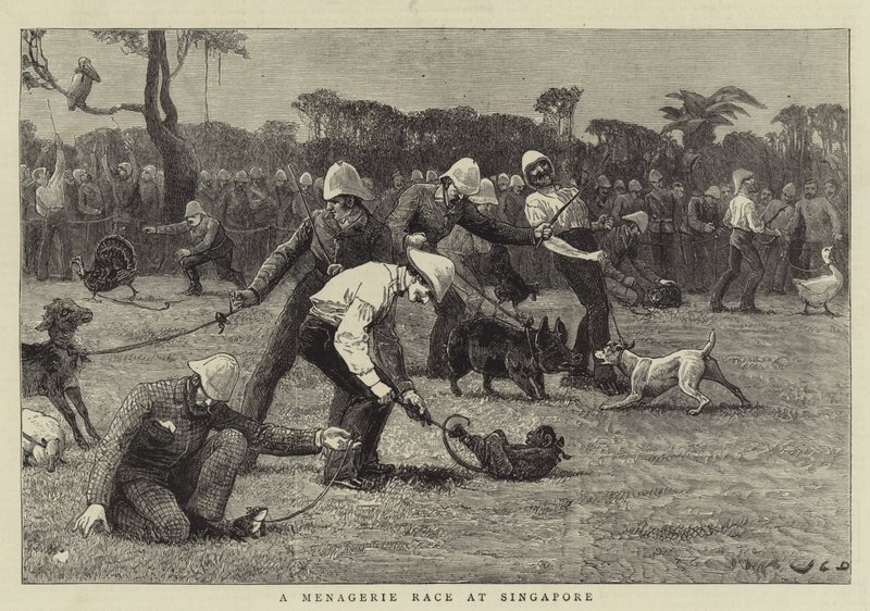 Menagerie Race Singaporessa tekijältä John Charles Dollman