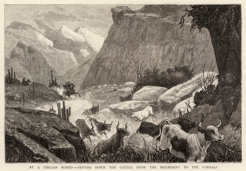 Chilen rodeolla ajamassa karjaa alas vuoristosta Corralsiin tekijältä John Charles Dollman