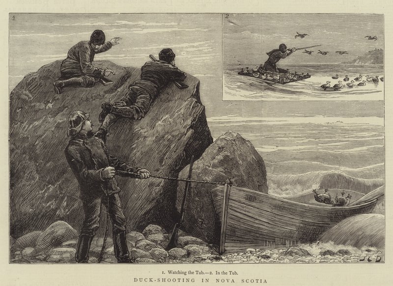Ankka-ammunta Nova Scotiassa tekijältä John Charles Dollman
